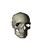 INTRO